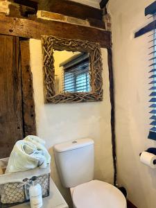 a bathroom with a toilet and a mirror at Spenford House 1640 listed house Idilic Location pub walking distance in Shrewsbury
