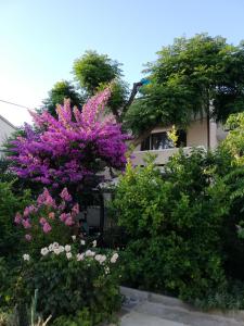 Zahrada ubytování Apartments Fabijanić