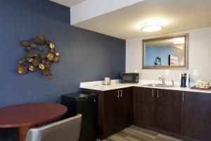 Kuchyň nebo kuchyňský kout v ubytování DoubleTree by Hilton Schenectady