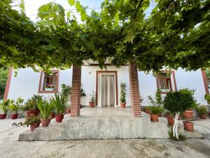 Vrt pred nastanitvijo Guest House Bashaj Village