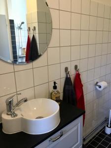 een badkamer met een wastafel en een spiegel bij Bäckalyckan in Röstånga