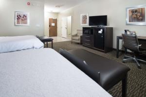 Habitación de hotel con cama, escritorio y TV. en Hampton Inn Hernando, MS en Hernando