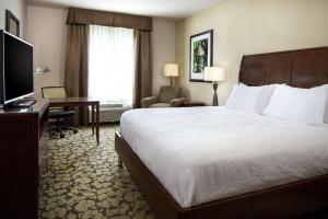 een hotelkamer met een bed, een bureau en een televisie bij Hilton Garden Inn Bettendorf/ Quad Cities in Bettendorf