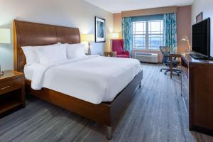 Hilton Garden Inn Roanoke في رونوك: غرفة الفندق بسرير كبير ومكتب