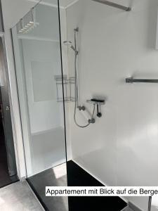W łazience znajduje się prysznic ze szklanymi drzwiami. w obiekcie WinterbergerQuartier w mieście Winterberg