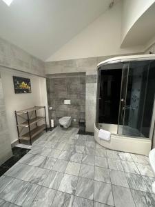 a bathroom with a shower and a toilet in it at Penzion pod lesem in Most