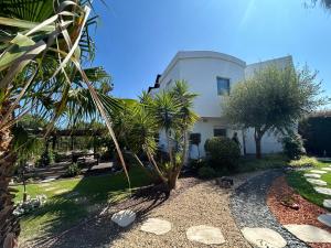 una casa blanca con una palmera delante de ella en Villa De Lux with pool, en Quinta do Anjo