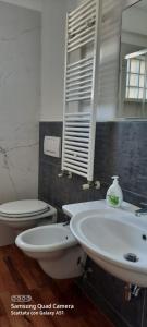 聖貝內代托德爾特龍托的住宿－Appartamento San Francesco 15，一间带水槽、卫生间和镜子的浴室