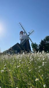 un mulino a vento in cima a un campo di fiori di The Millers Cottage a Cambridge