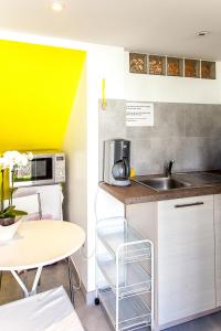 a kitchen with a sink and a table at Villa Schiller, 2 studios côté jardin - quartier Orangerie in Strasbourg +27 photos