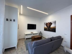 a living room with a couch and a flat screen tv at Casa Daniella Vivienda B in Ingenio