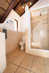 a bathroom with a shower and a toilet at 152 Village House in St Francis Bay