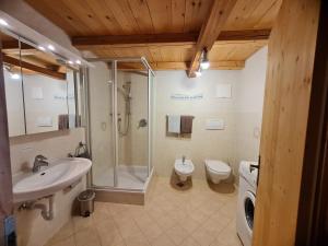 a bathroom with a shower and a sink and a toilet at Salmsein Biohof in Fiè