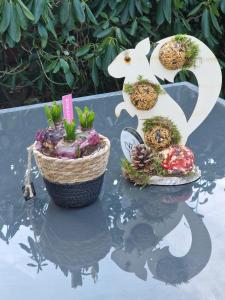 two potted plants sitting on top of a table at Chalet in Putten in Putten