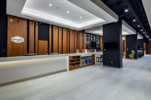 伊兹密尔阿利亚加希尔顿汉普顿酒店的厨房或小厨房