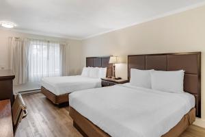 a hotel room with two beds and a window at Best Western Carmel's Town House Lodge in Carmel +61 photos