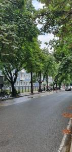 una calle con árboles al lado de la carretera en Alle's Myslym Shyri studio apartment, en Tirana
