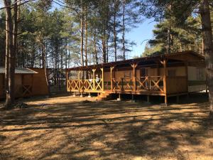 a large wooden cabin in the woods with trees at ALBA Pelnik domki holenderskie in Pelnik