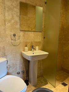 a bathroom with a sink and a toilet at Casa Andreea in Vatra Dornei