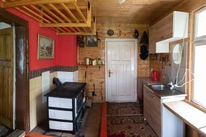 een keuken met rode muren, een wastafel en een fornuis bij Horská Roubenka Emma in Čierne
