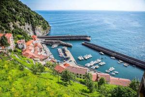 a group of boats docked at a dock in the water at Precioso apartamento reformado 2HAB in Elanchove
