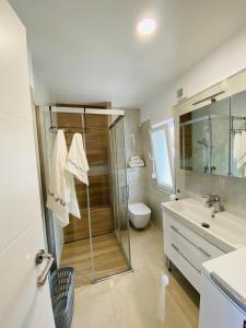 ein Bad mit einer Dusche, einem Waschbecken und einem WC in der Unterkunft Seaview Villa Koper in Koper