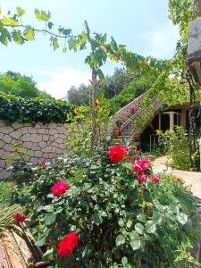 a garden with red roses and a stone wall at Dubrovnik Apartment Nepe in Dubrovnik