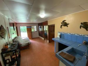 a living room with a blue sink in a room at Casita Corcovado in Drake