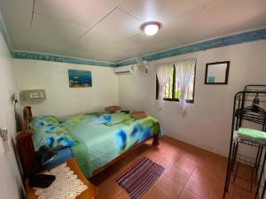1 dormitorio con 1 cama en una habitación en Casita Corcovado, en Drake