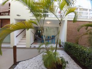a house with a palm tree in front of it at Serena Morro in Morro de São Paulo