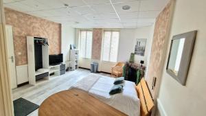 a bedroom with a bed and a tv in it at Appart hôtel Roanne hyper centre ville in Roanne