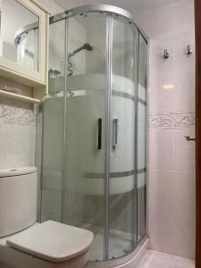 uma casa de banho com uma cabina de duche em vidro e um WC. em El Capricho de Bego em Biescas