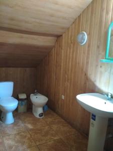 La salle de bains est pourvue de toilettes et d'un lavabo. dans l'établissement Світязький хуторок, à Svityazʼ