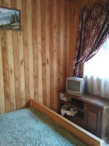 Cette chambre dispose d'une télévision sur un mur en bois. dans l'établissement Світязький хуторок, à Svityazʼ