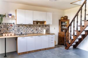 Kuchyň nebo kuchyňský kout v ubytování Fruska Pool House