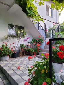 une cour ornée de fleurs en pots et d'escaliers dans l'établissement Vila Didi, Mangalia, à Mangalia