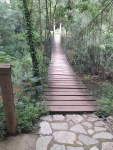 een houten brug over een rivier in een bos bij Allotjament dels Ports in La Senia