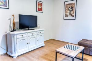 TV a/nebo společenská místnost v ubytování Fruska Pool House