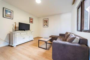 TV a/nebo společenská místnost v ubytování Fruska Pool House