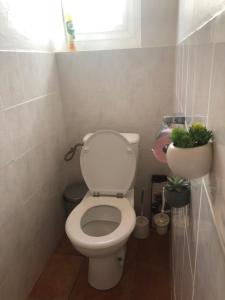 a bathroom with a toilet with two potted plants at T4 La Zoune in Chorges