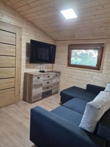 TV a/nebo společenská místnost v ubytování MAZURY-NOWY Domek letniskowy na Łowisku Muławki