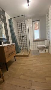 a bathroom with a shower and a sink and a toilet at Siedlisko Rozalin 