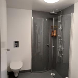 a bathroom with a shower and a toilet at Experience unique Faroe Islands holiday home by the sea with great views, fully equipped kitchen and reliable Wi-Fi 