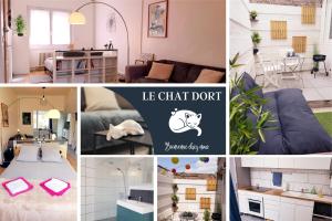 a collage of pictures of a living room at Le Chat d'Or - 35m2 - Terrasse - BBQ - WIFI HD in Amiens
