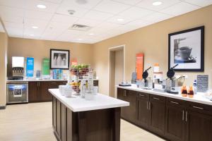 un laboratoire avec un comptoir contenant des fruits dans l'établissement Hampton Inn & Suites Big Rapids, Mi, à Big Rapids