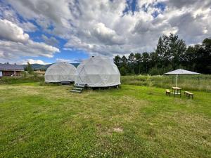 Ściegny的住宿－Glamping Stodoła Dome，田野上的两个帐篷,配有桌子和长凳