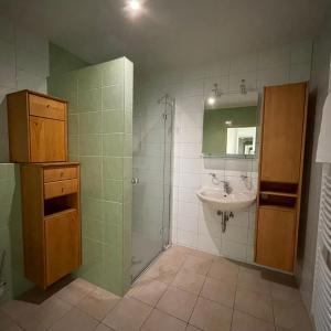 a bathroom with a sink and a shower at Gut Schlafen - Am Kogl in Hypolz