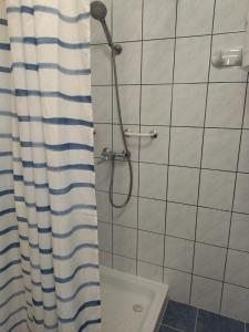 eine Dusche mit einem blauen und weißen Duschvorhang in der Unterkunft Jegenye Vendégház in Balatonfüred