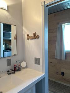 a bathroom with a sink and a mirror at Area 3251 Desert Valley Guest Suite in Pahrump