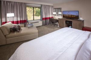 a hotel room with a large bed and a television at Hampton Inn & Suites Buellton/Santa Ynez Valley, Ca in Buellton